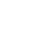 x icon